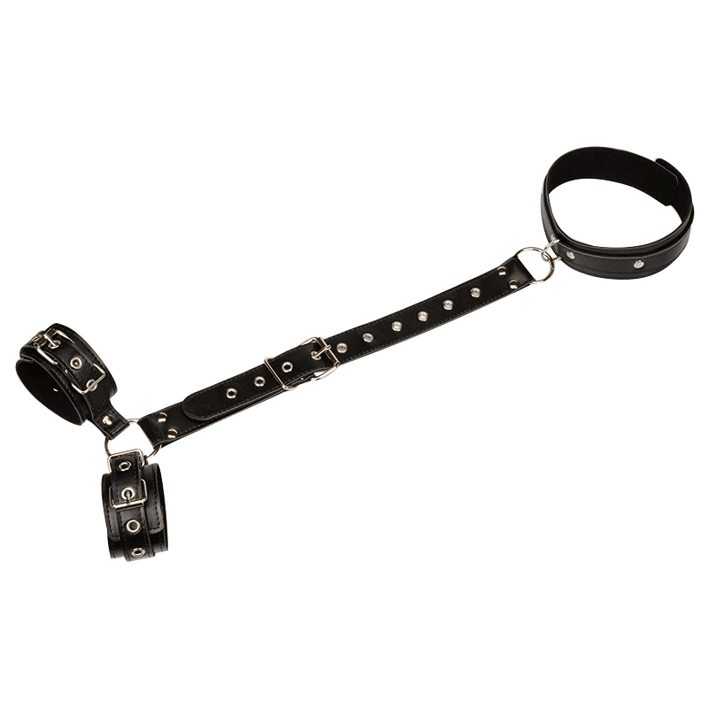 Proserpina Harness