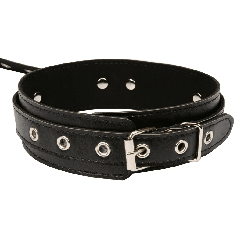 Proserpina Harness