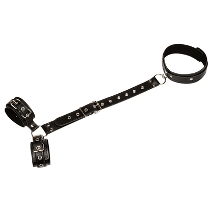 Proserpina Harness